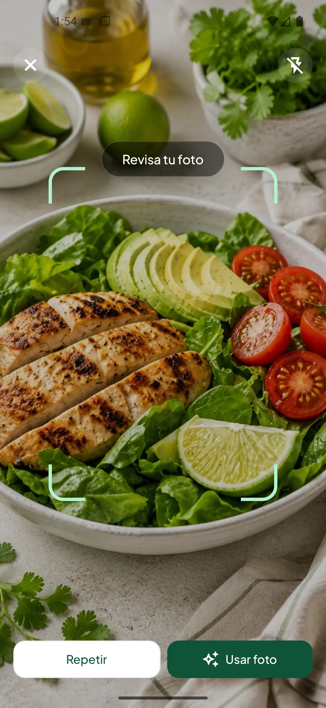 Pantalla real de Mi Nutricionista revisando la foto de una ensalada antes de estimarla